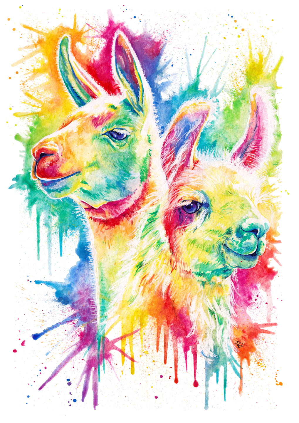 Lama & Alpacka design