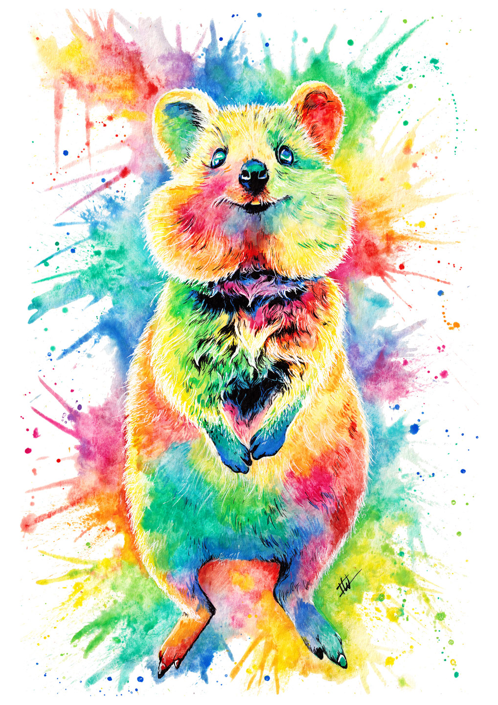 Quokka design